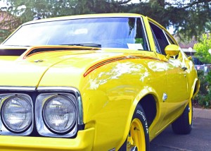 DSC_0017_edited-1 (1)